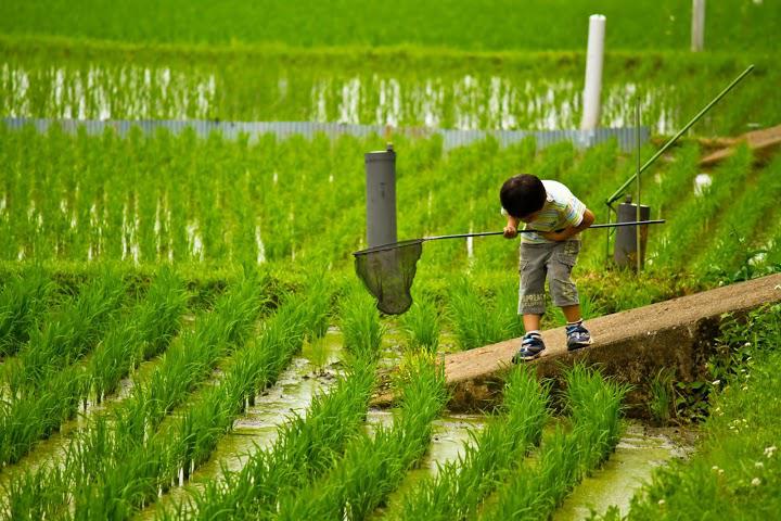 あおい光太郎探偵事務所 - メイン写真: