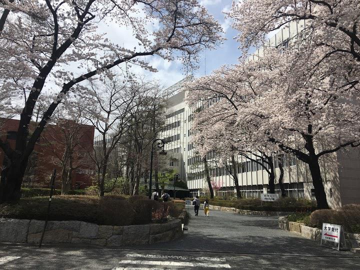 松本歯科大学 - メイン写真: