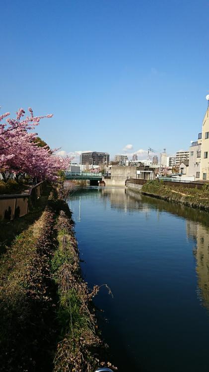 財団法人木場公園駐車場 - メイン写真: