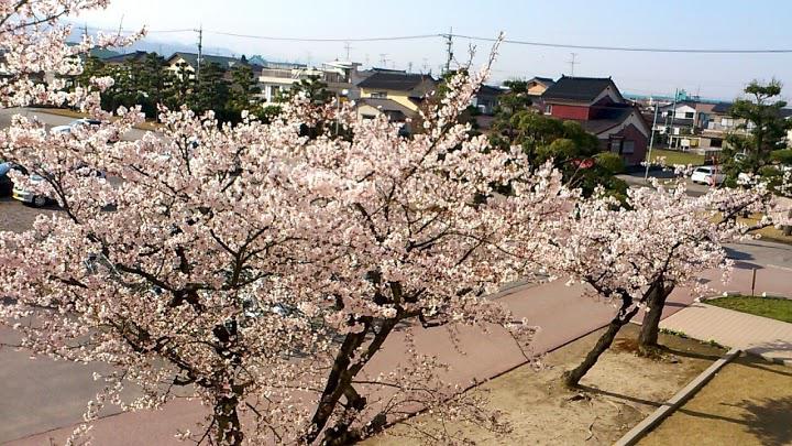 富山県立魚津工業高等学校 - メイン写真: