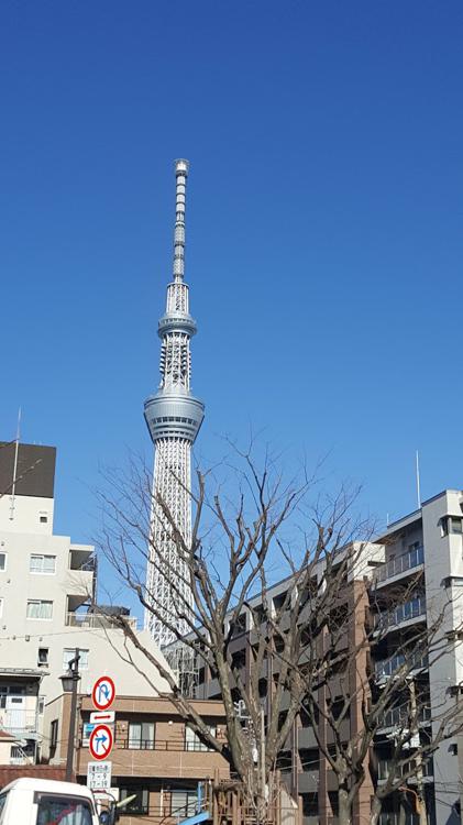 大横川親水公園 - メイン写真: