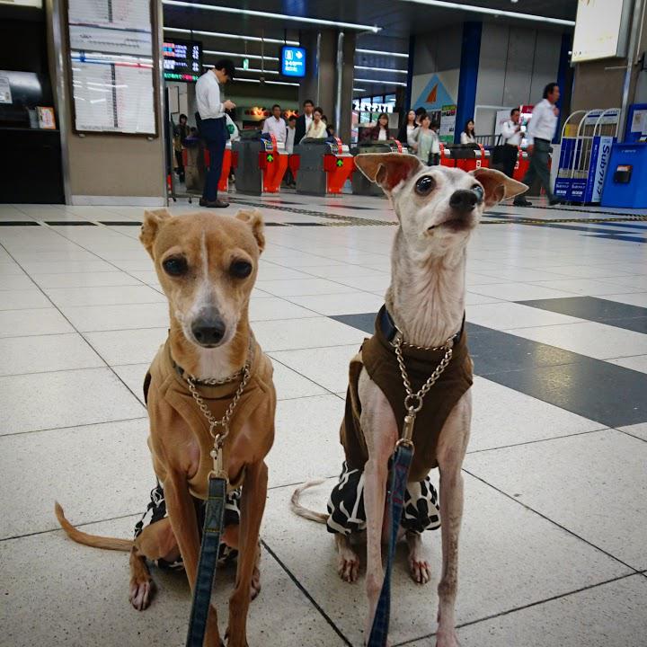 交通局　福岡市地下鉄姪浜管区駅 - メイン写真: