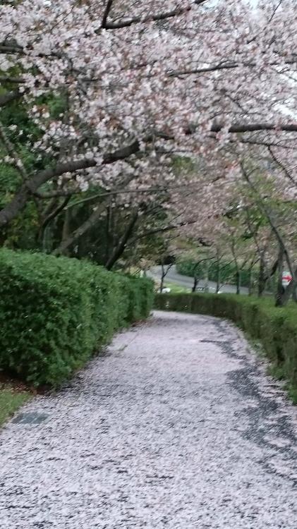 日進市役所　総合運動公園管理センター - メイン写真: