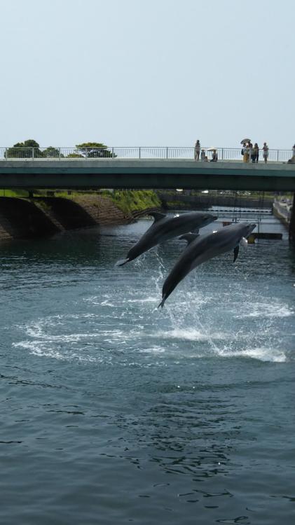 みなと大通り公園 - メイン写真: