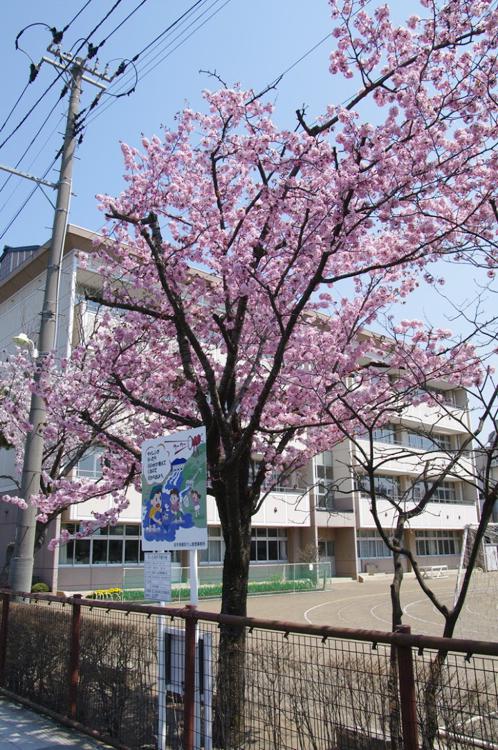 盛岡市立杜陵小学校 - メイン写真: