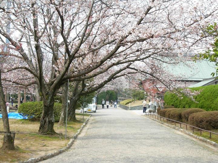 徳島大学 本部 - メイン写真: