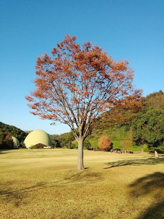 とっとり出合いの森 - メイン写真: