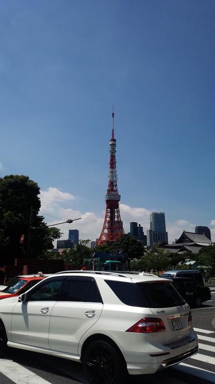 アクアフィールド芝公園 (芝公園プール) - メイン写真: