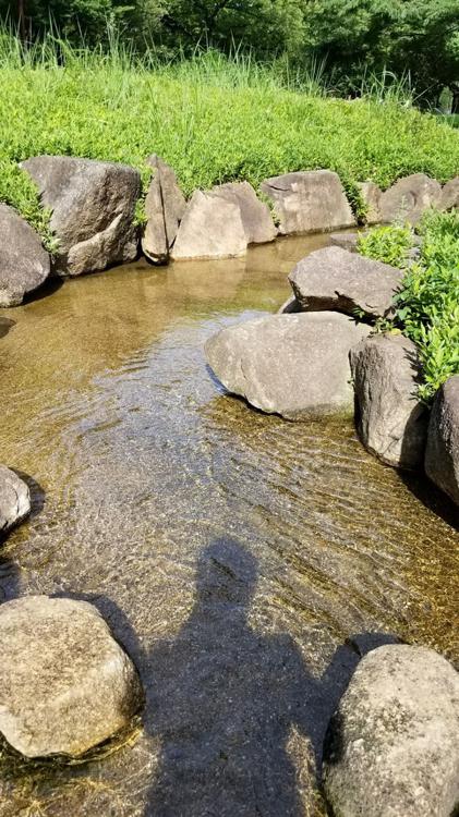 Kameido Chuo Park (亀戸中央公園) - メイン写真: