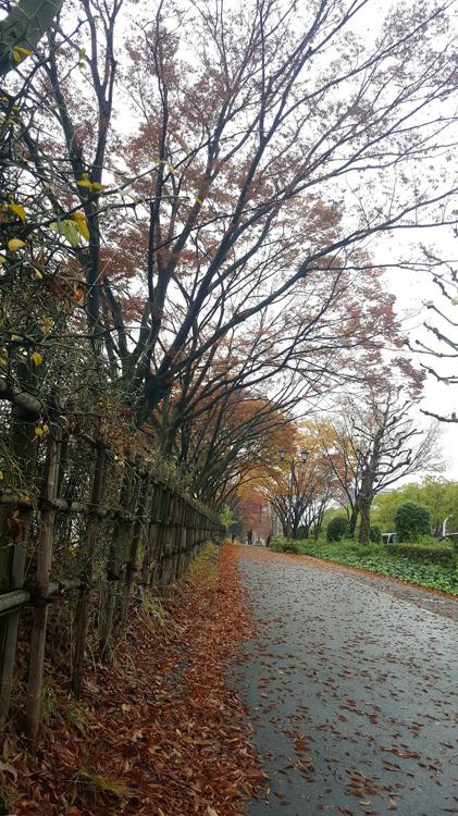 名城公園二の丸東駐車場 - メイン写真: