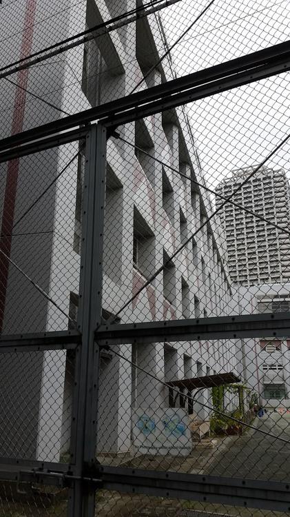 中央区立　佃島小学校 - メイン写真: