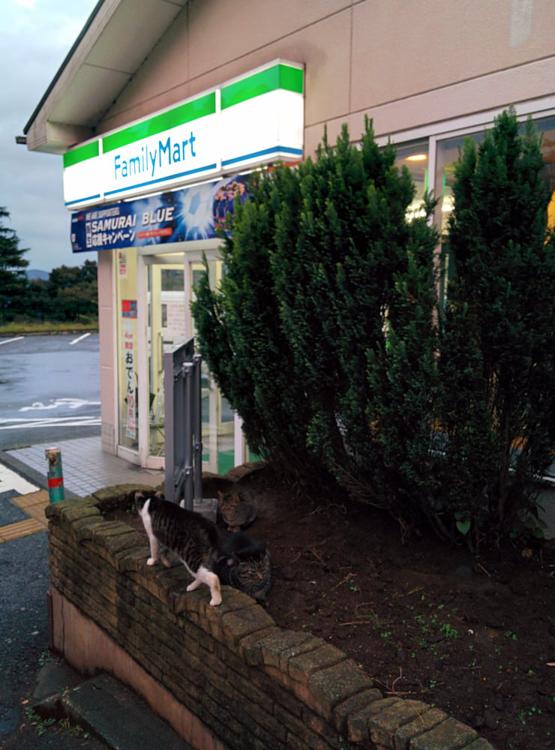 ファミリーマート　箱根小涌園店 - メイン写真: