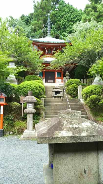 Kurama Onsen (くらま温泉 峰麓湯) - メイン写真: