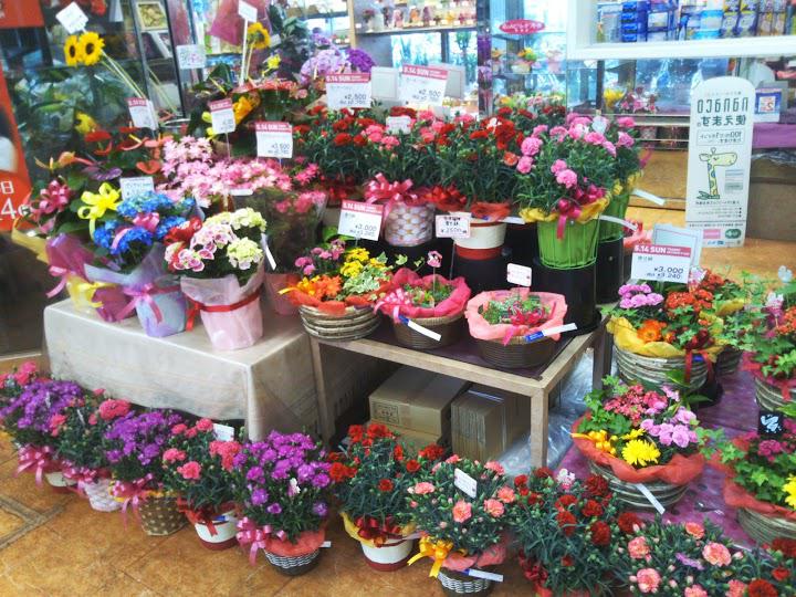 Flower Shop Takano