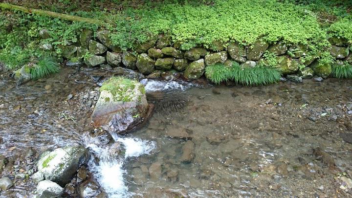 節安ふれあいの森 - メイン写真: