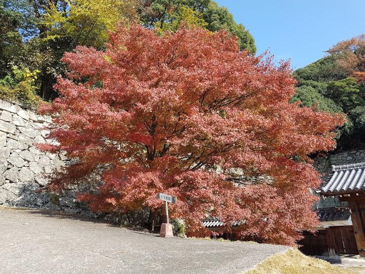 城山公園 - メイン写真: