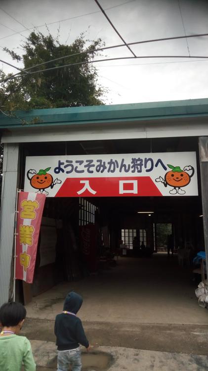 高知県 観光農園ランキングTOP4