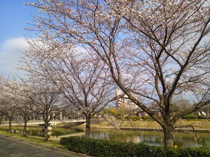 松江市総合体育館屋内プール - メイン写真: