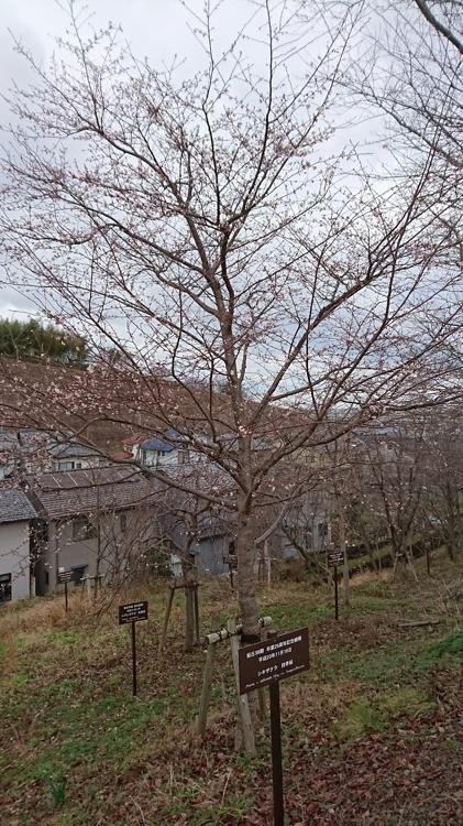 石川県立金沢桜丘高等学校 - メイン写真: