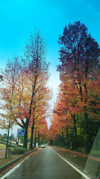 石川県政記念 しいのき迎賓館 - メイン写真: