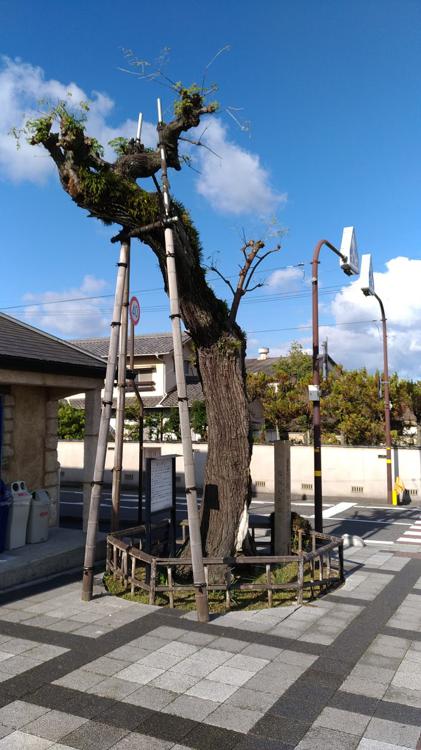 Hayashima Station (早島駅) - メイン写真: