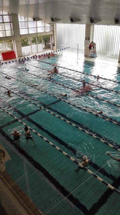 ウェルネス 新庄