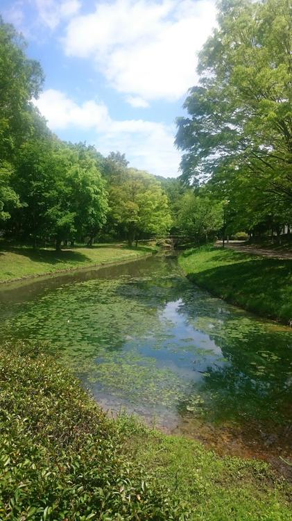 大原みねみち公園