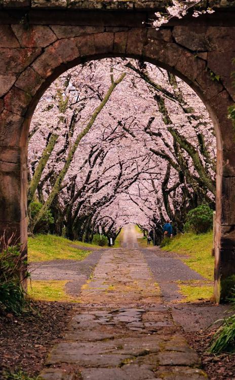 円応寺 - メイン写真: