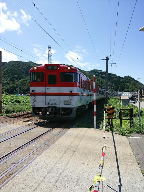 寒川キャンプ場 - メイン写真: