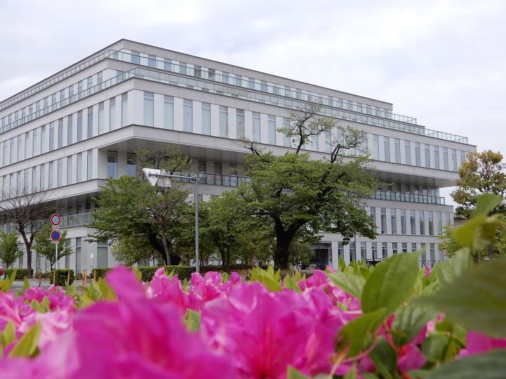 高崎市役所高崎市保健所 保健医療部保健医療総務課 - メイン写真: