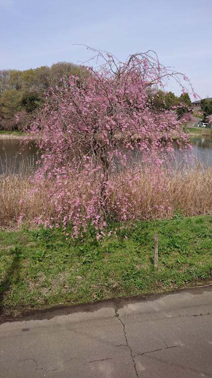 介護老人保健施設けんちの苑・水海道 - メイン写真: