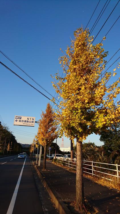 NTN総合運動公園テニスコート - メイン写真: