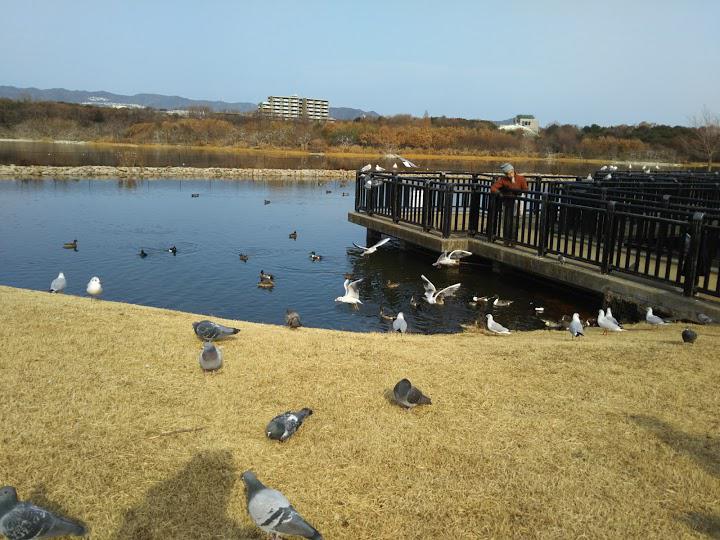 The 3 Best Park in Itamishi