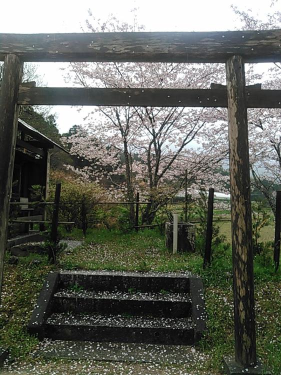 根郷農村公園 - メイン写真: