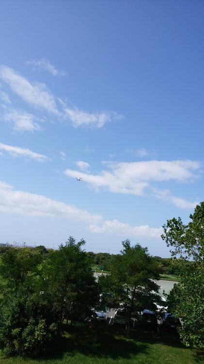 豊平川緑地サッカー場 - メイン写真: