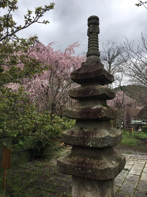 植藤造園 - メイン写真: