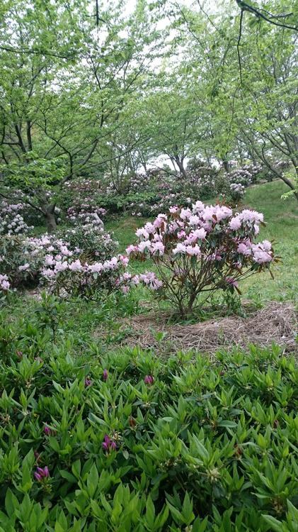 不老山総合公園 - メイン写真: