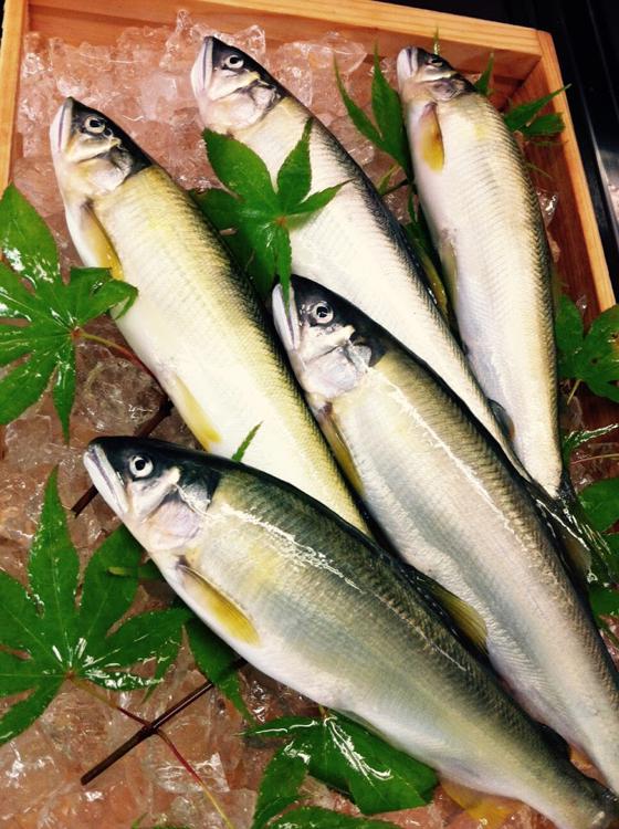 食べる水族館 鮮魚 魚ぎ - メイン写真: