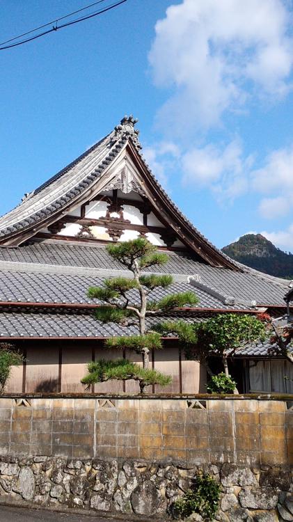 The 10 Best Attraction in Udashi