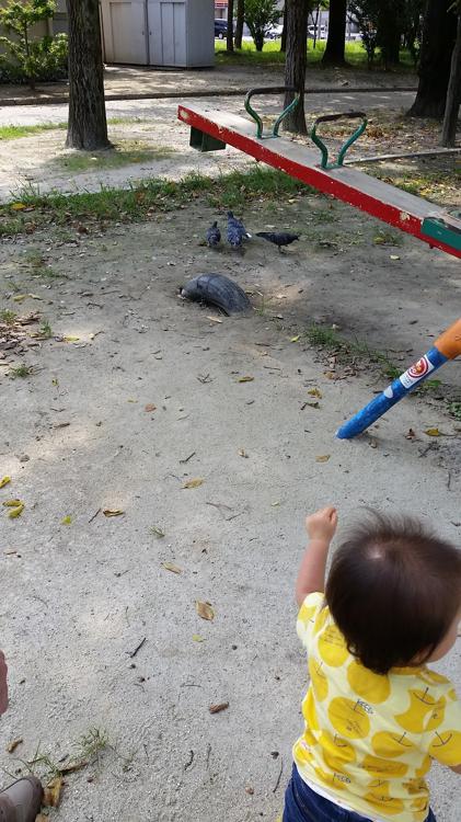 志賀公園野球場 - メイン写真: