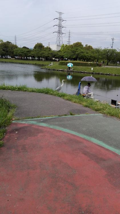 落合公園体育館 - メイン写真: