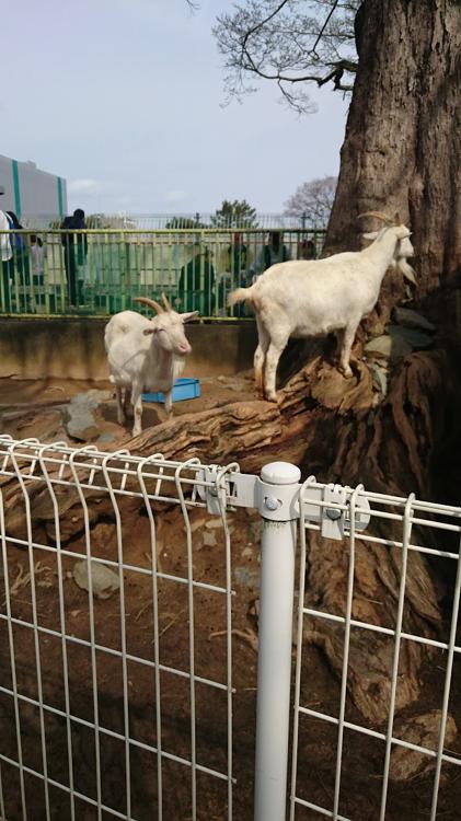 和歌山公園動物園管理詰所 - メイン写真:
