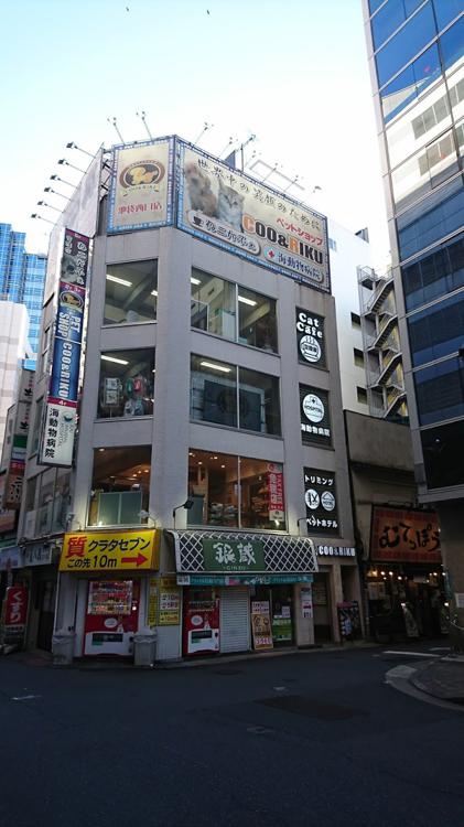 ペットショップｃｏｏ ｒｉｋｕ 池袋西口店