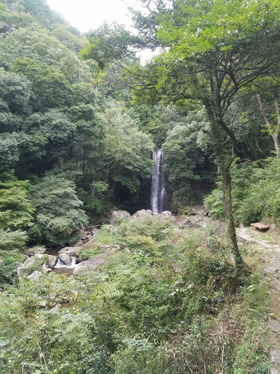 瑞浪市役所　自然ふれあい館 - メイン写真: