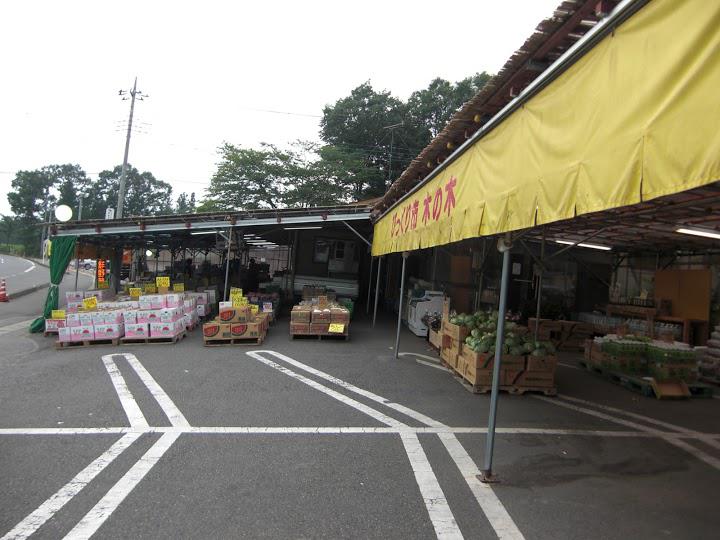びっくり市 木の木
