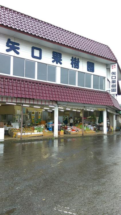 矢口果樹園観光農場