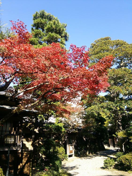 西尾市役所　西尾市歴史公園尚古荘 - メイン写真: