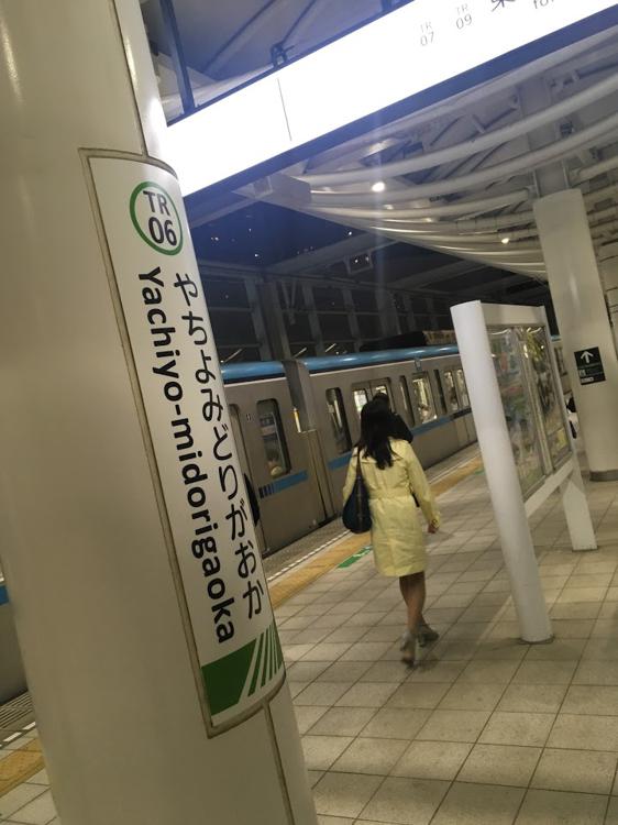 The 3 Best Train Station in Yachiyoshi