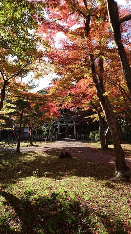 大堰宮公園 - メイン写真: