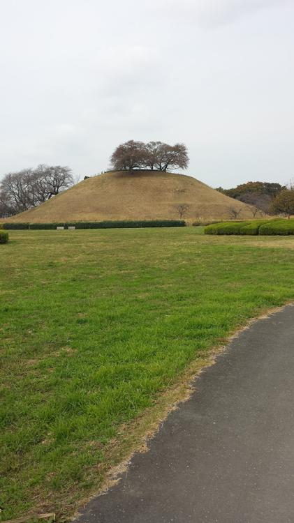 さきたま古墳公園 - メイン写真: